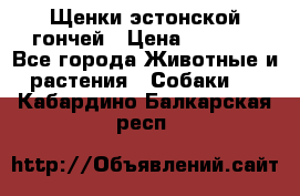 Щенки эстонской гончей › Цена ­ 7 000 - Все города Животные и растения » Собаки   . Кабардино-Балкарская респ.